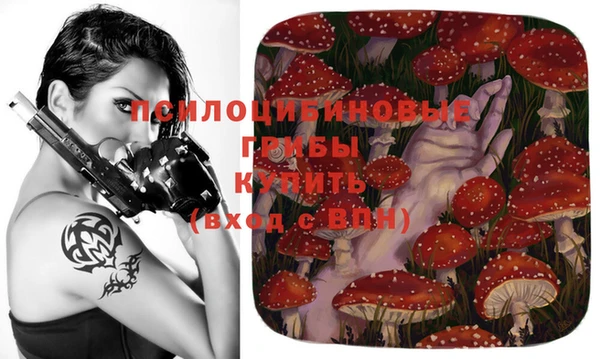 эйфоретик Алзамай