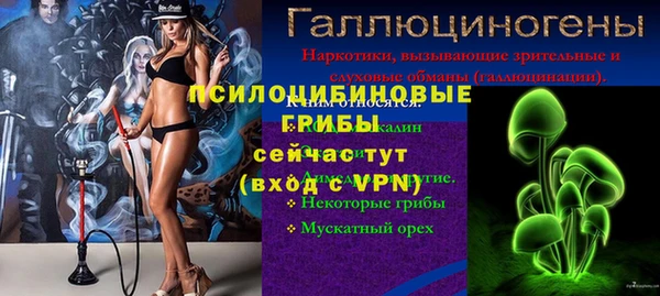 прущие крисы Абинск