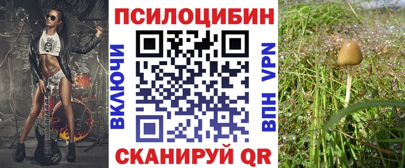 Галлюциногенные грибы ЛСД  MEGA ссылки  Мещовск 